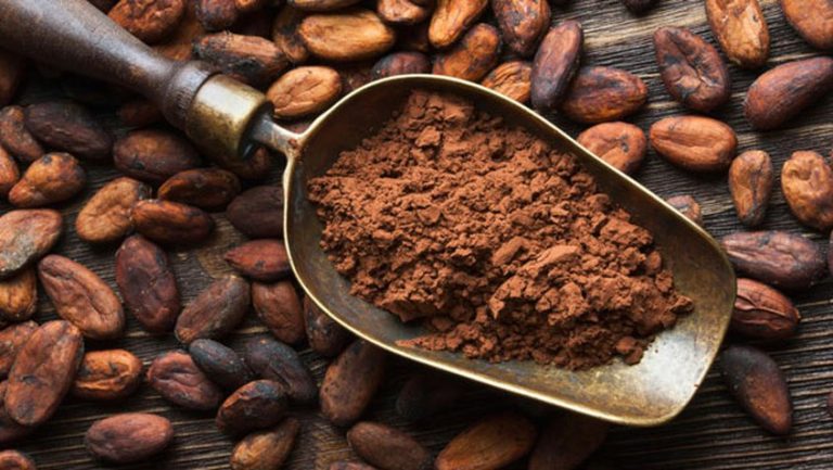 Venezuela celebra el Día Nacional del Cacao - Minuta Agropecuaria