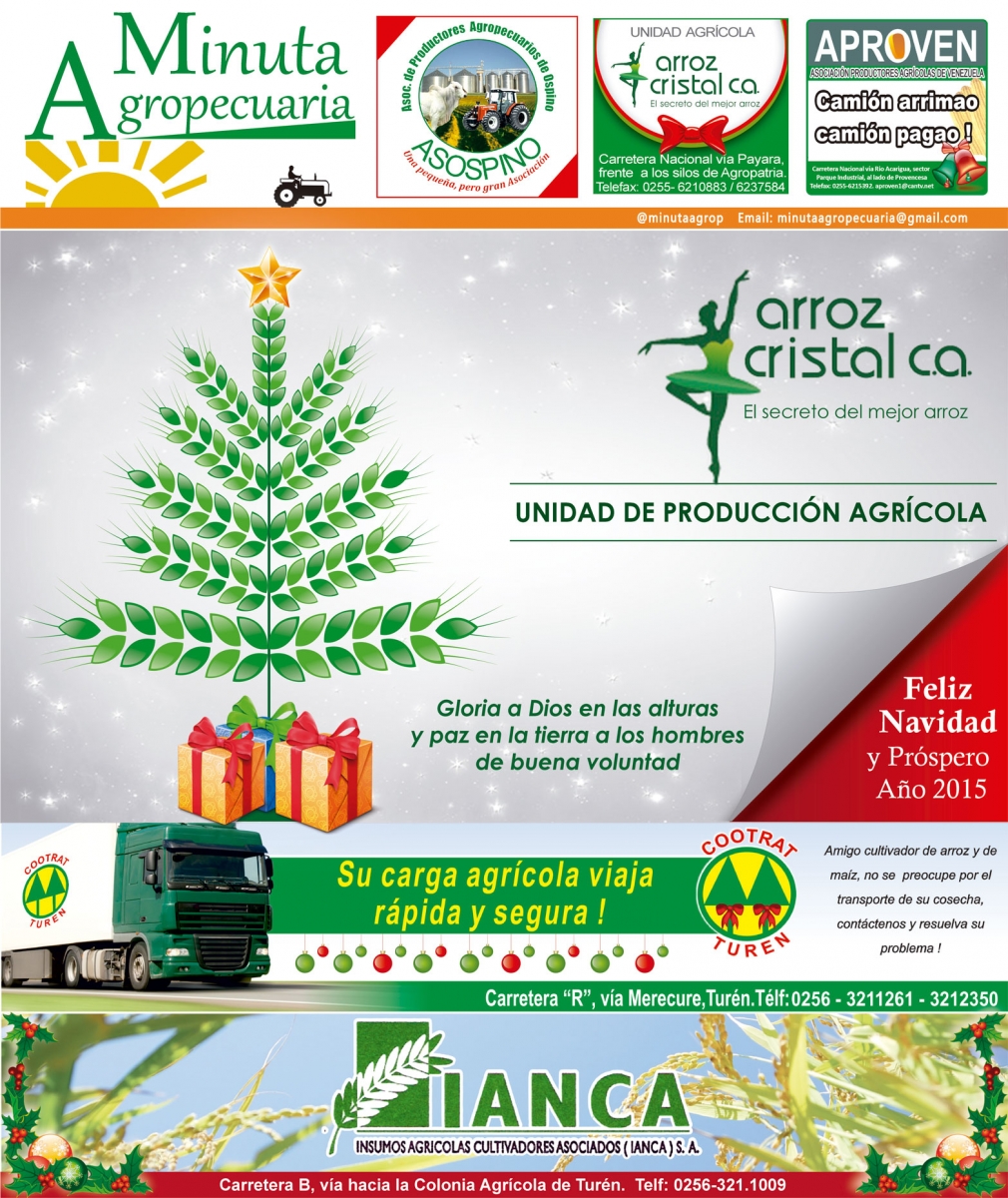 Portada-minuta-Diciembre-arroz-cristal